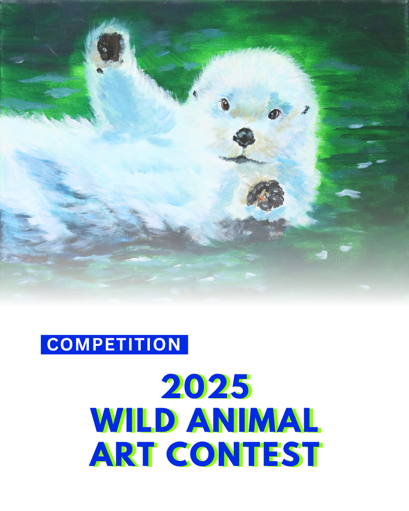 Wild Animal Art Contest WINNERS! – ARTROOM101
